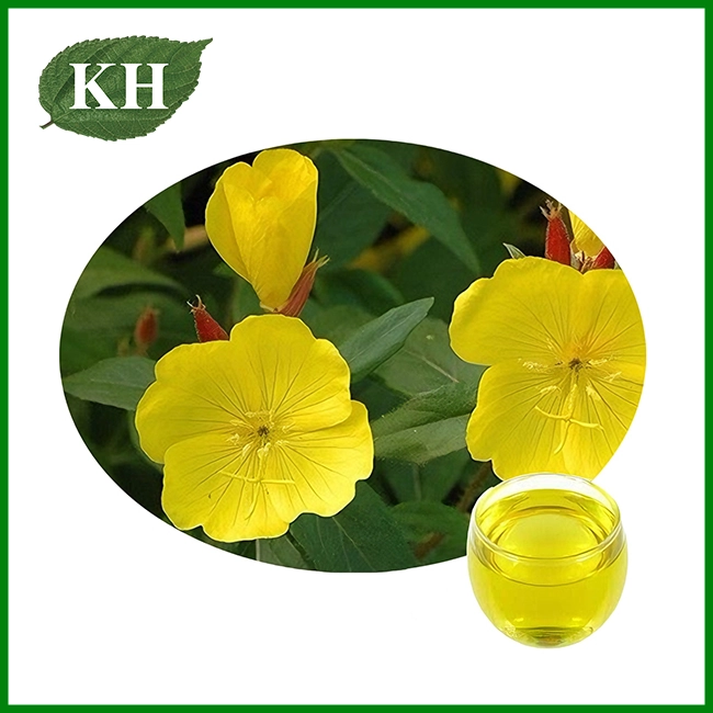 Natural Evening Primrose Oil Bulk Supplier
